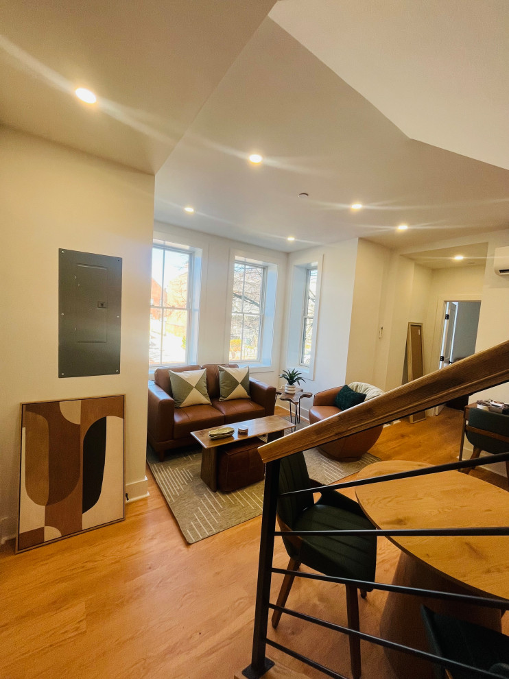 Capitol Hill, DC Renovation
