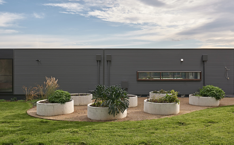 Photo of a large contemporary full sun garden in Melbourne.