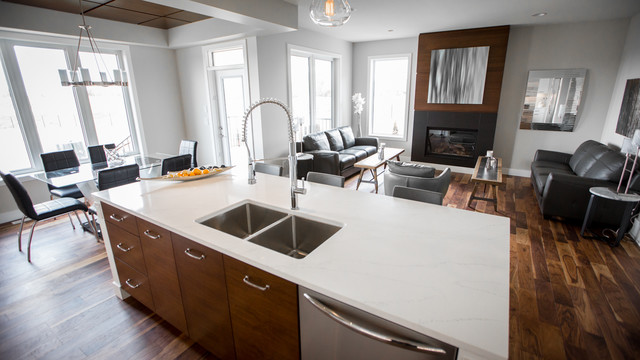 Lexis award winning Show Home modern-kueche