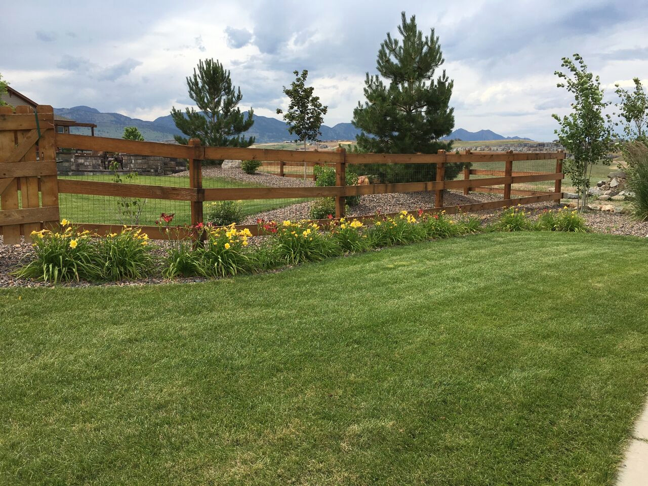 Front Yard Landscape Designs