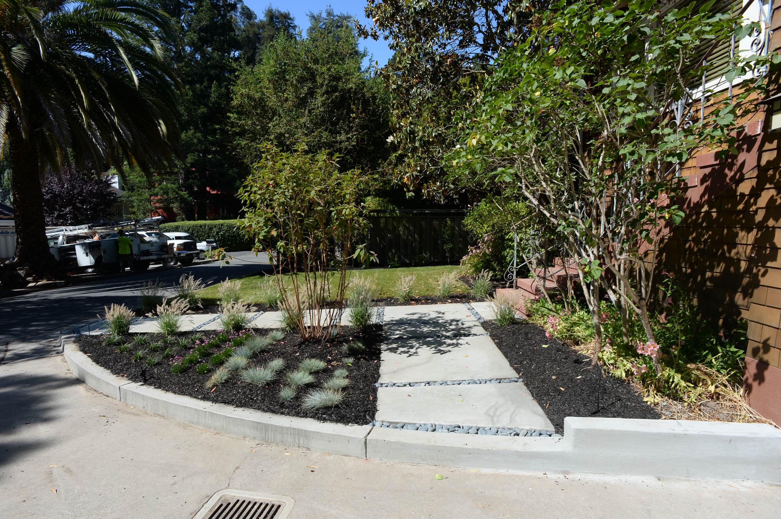Fernandez Residence - Kentfield