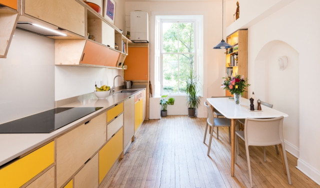 Helen and John's Kitchen midcentury-kitchen