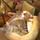 robert_gordon72
