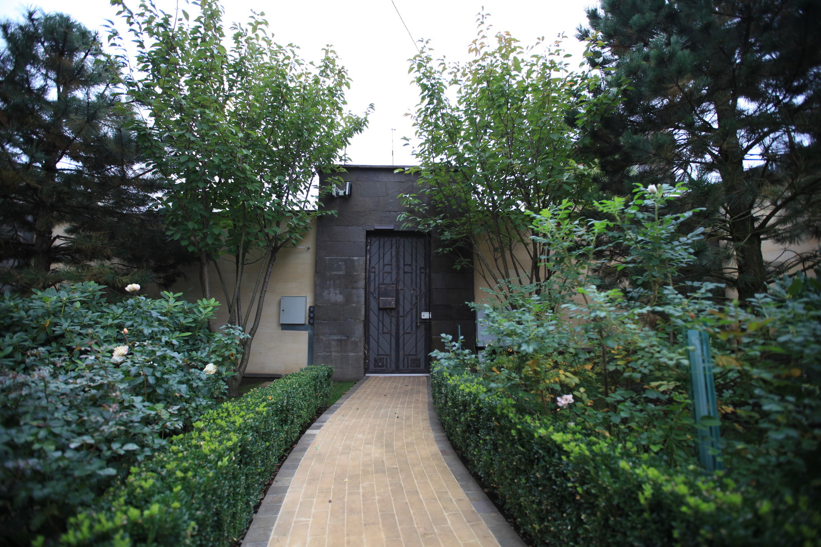 Итальянский сад с пиньями в городе