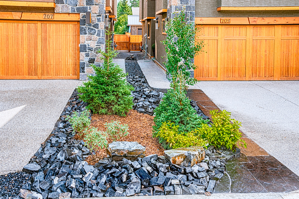 Inspiration for a small contemporary side yard full sun driveway for summer in Calgary with a garden path and mulch.