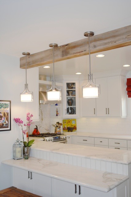 Example of a transitional home design design in Los Angeles