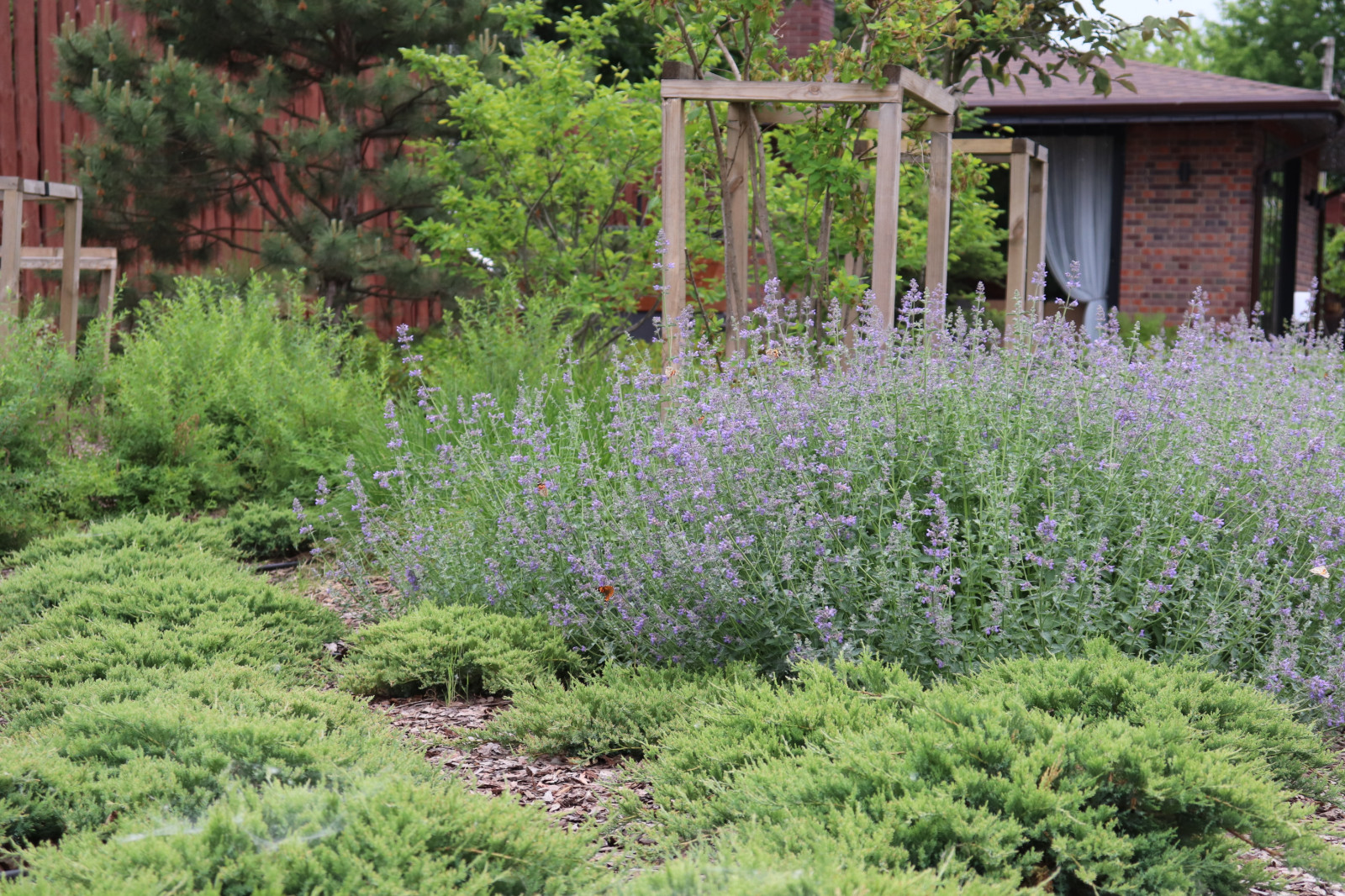 WB Парковая часть