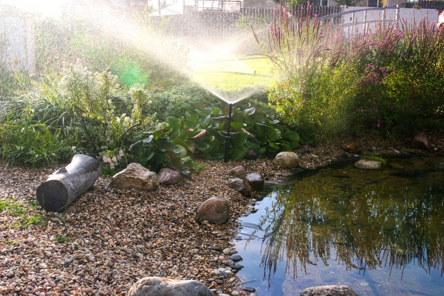 Полив в саду. Подмосковье.