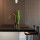 schwarzmanndesign
