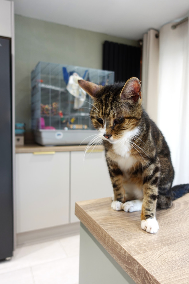 The Barwell Kitchen II - Sodermalm - RRP £20,000 - Luxe Price £17,900