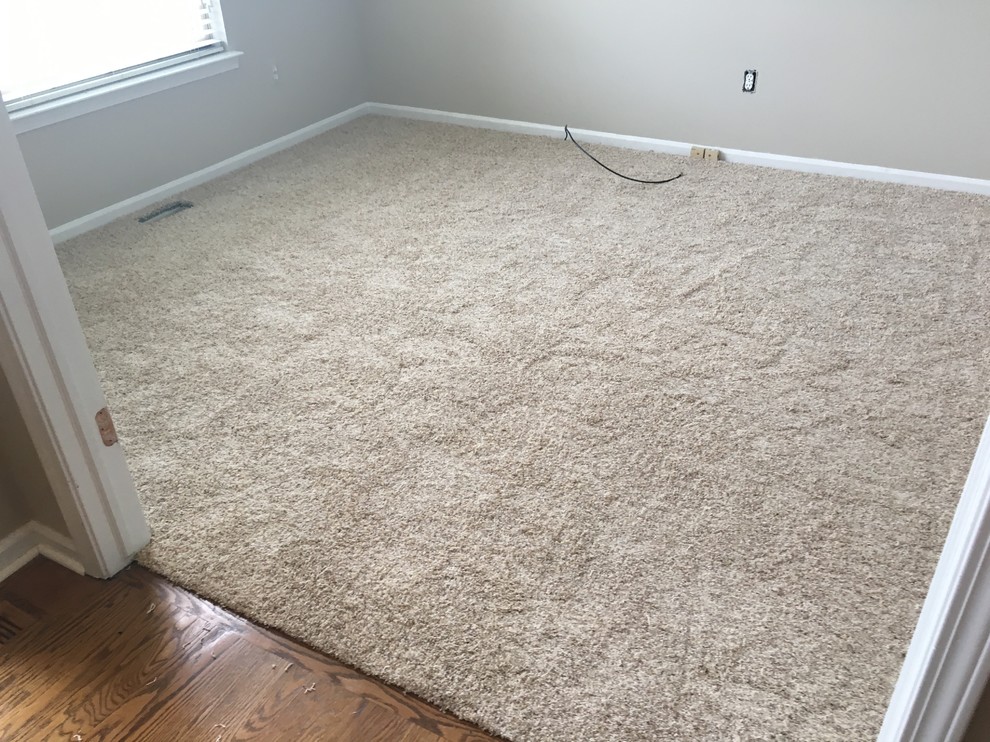Stainmaster Carpet Traditional Detroit by Ann Arbor Carpets