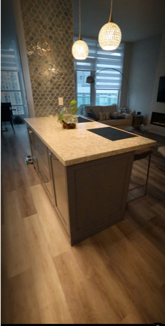 Penthouse Condo Apaerment in Square one Mississauga - Kitchen Remodeling