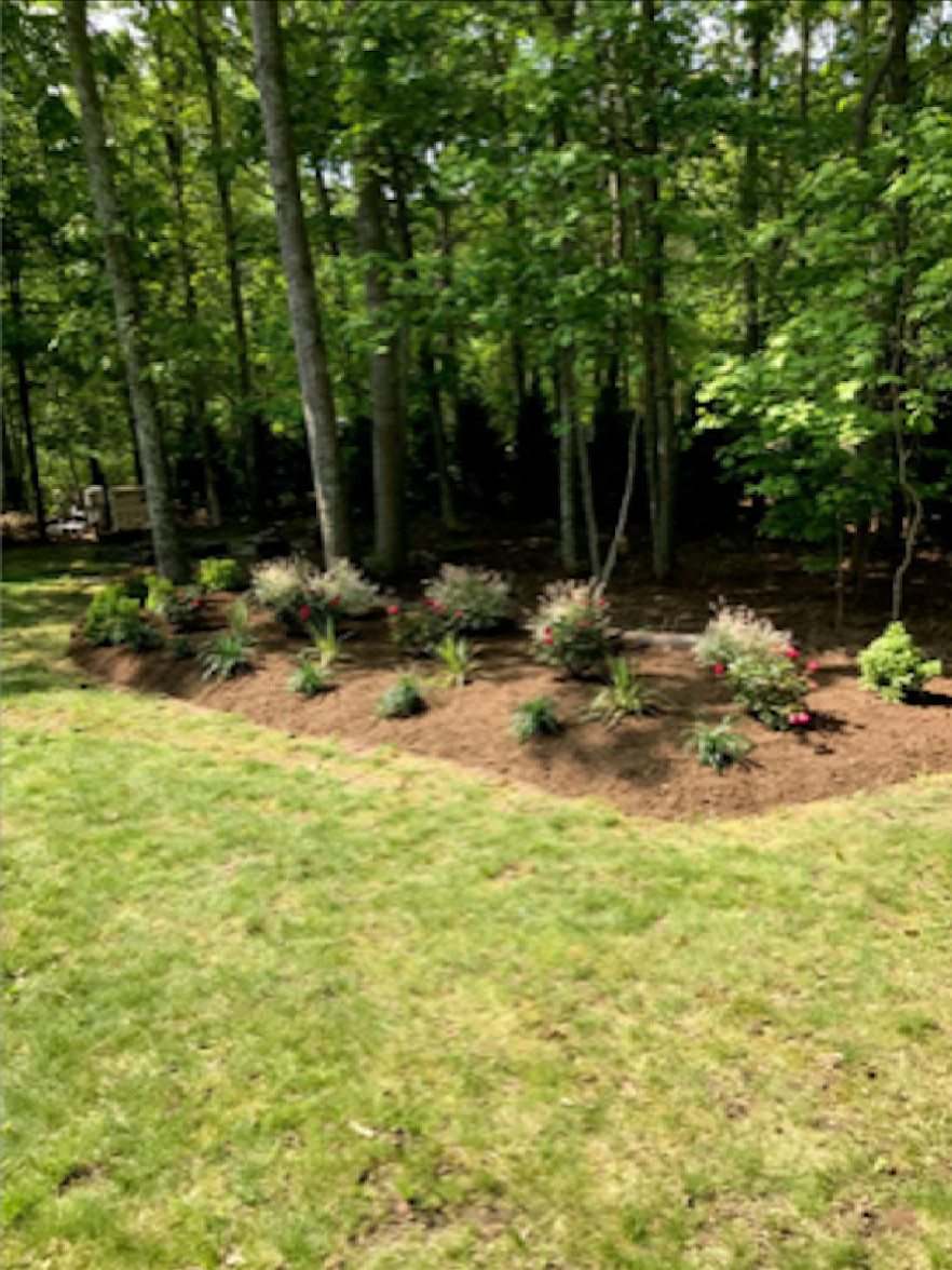 Softscape Projects