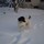 susan_edmondson5366900