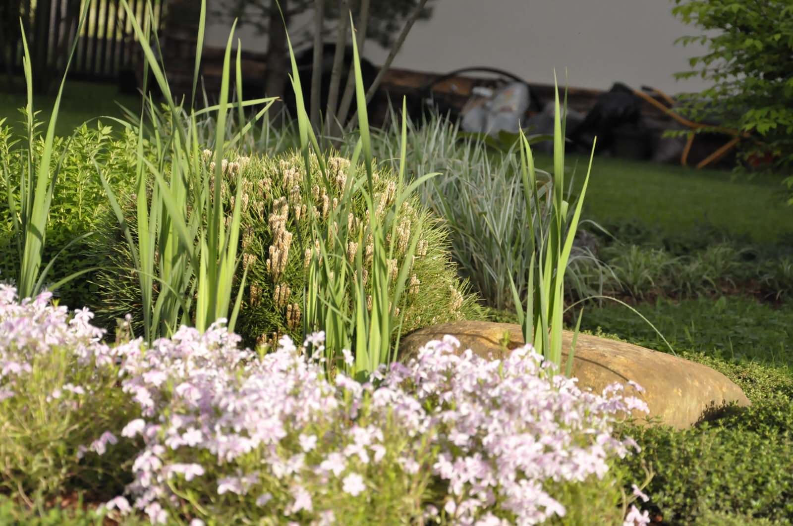 кп "Папушево" - Профессиональный уход за садом - 100% качество!