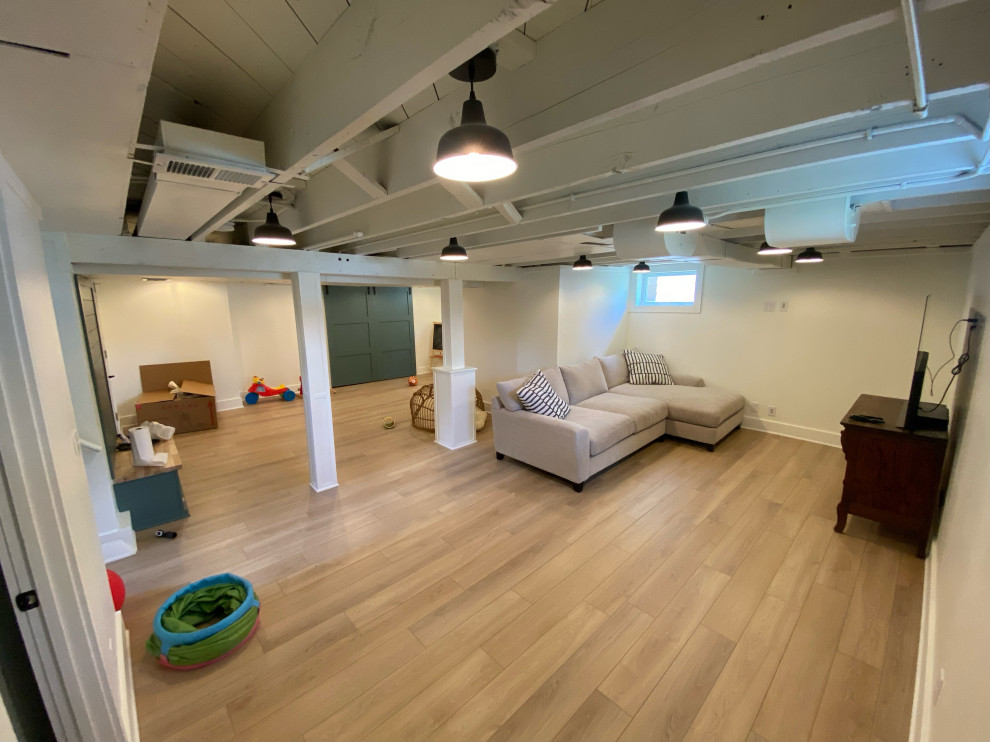 Morton Meadows Basement Restoration