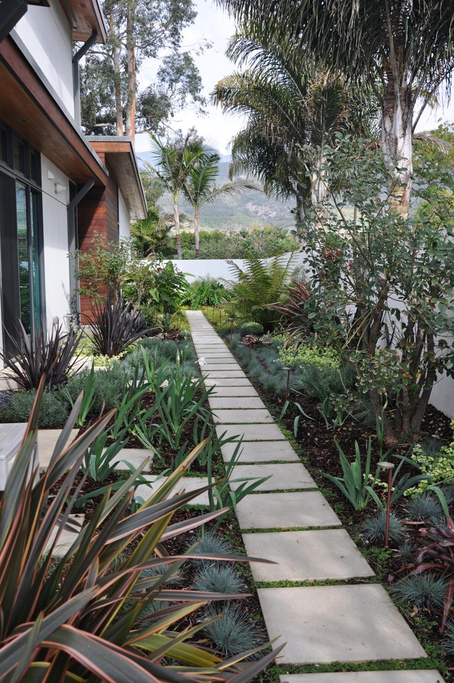 This is an example of a mid-sized tropical side yard garden for spring in Santa Barbara.