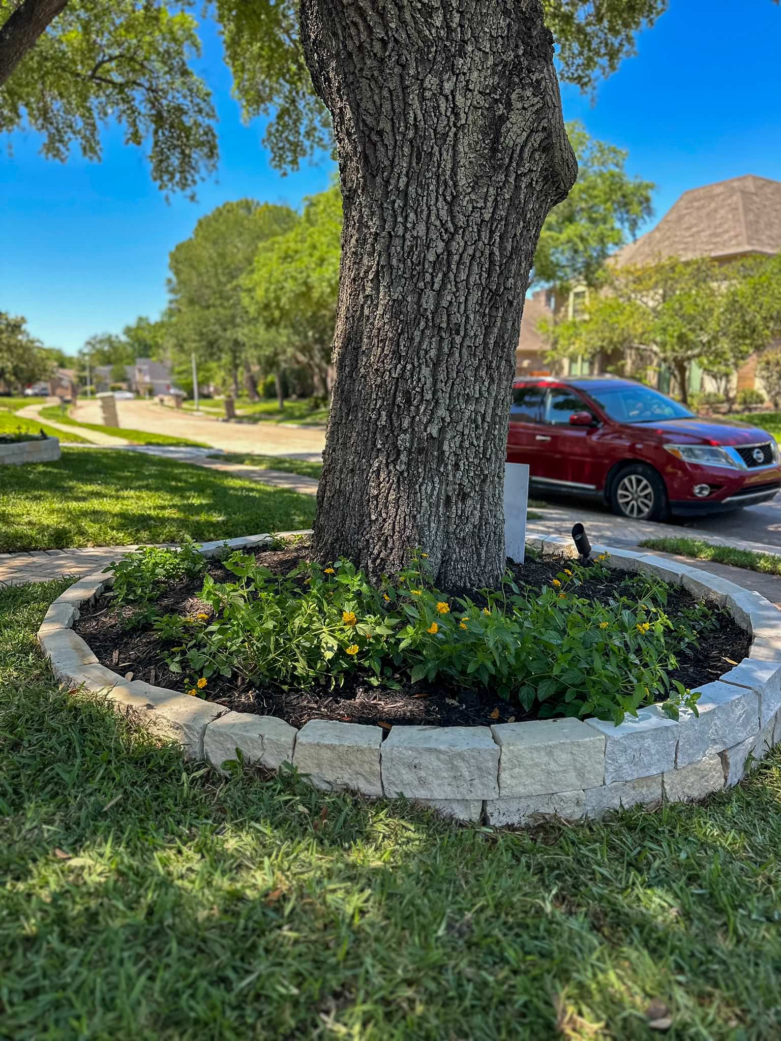 Front and Back yard makeover in Del Monte HTX