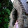 webuser_313563294