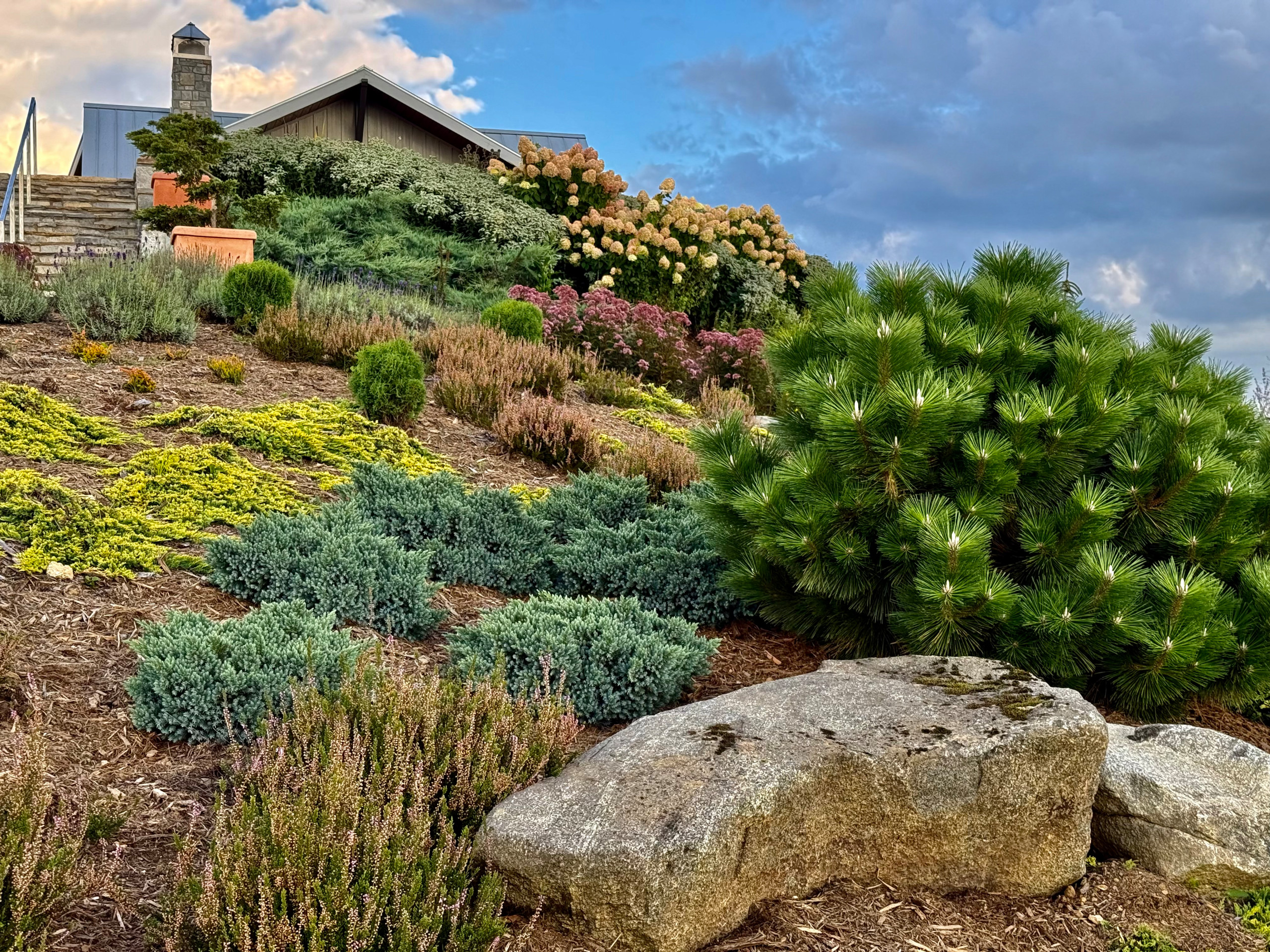 Yard of the Week: Mountaintop Garden Bursting With Color