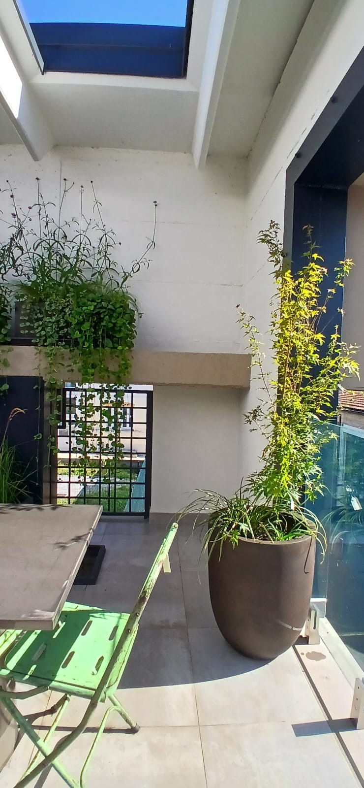 Realizzazione Wild in the city