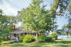 8 Reasons to Plant a Great Tree