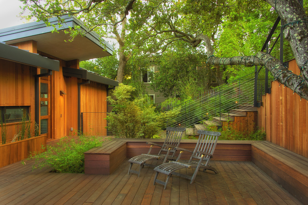 Expansive contemporary courtyard and ground level deck in San Francisco with a roof extension and cable railing.