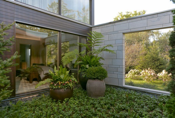 Inspiration for a modern garden in Chicago.