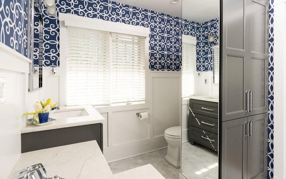 Mid-sized transitional home design photo in Chicago