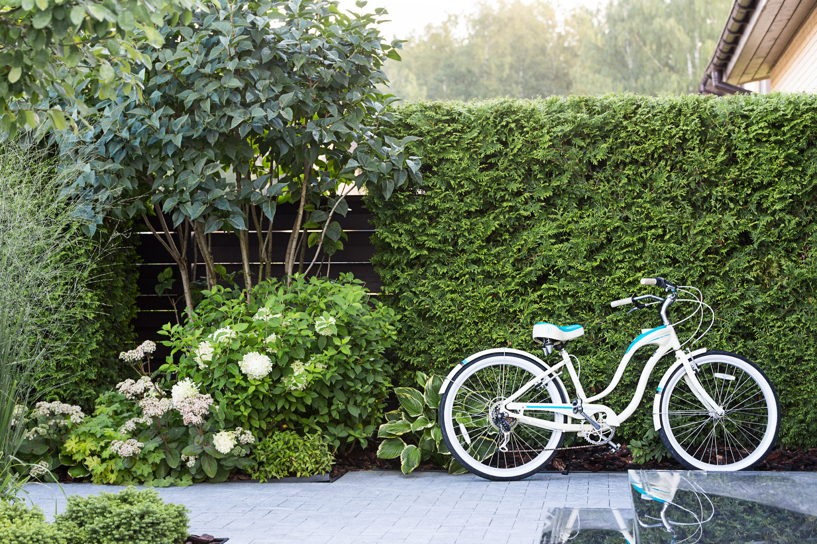 Фотосъёмка сада (к/п Светлогорье)