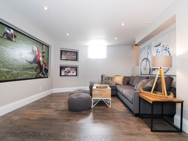 Theater Room transitional-basement