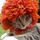 webuser_29013819