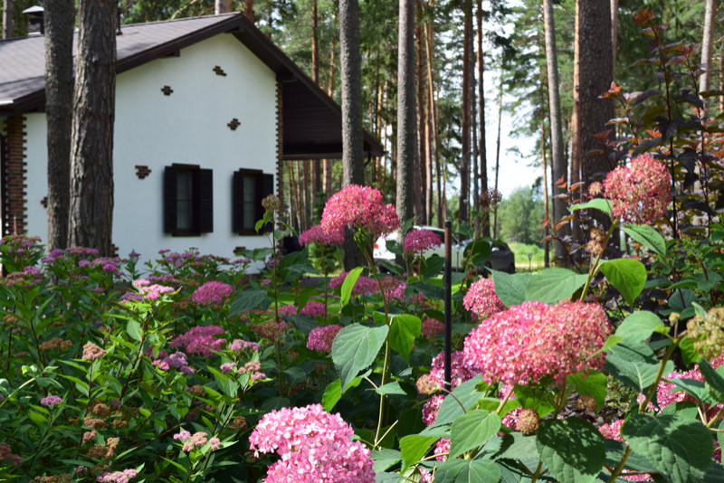 «Пряничный домик» в сосновом бору