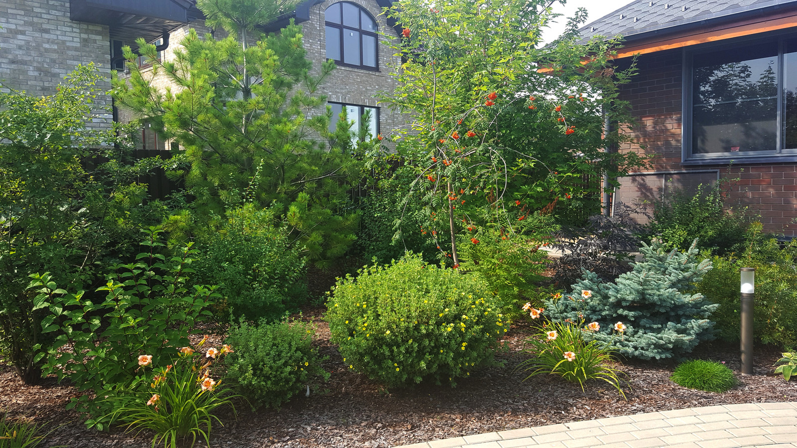 Благоустройство участка 19 соток. Реализация.