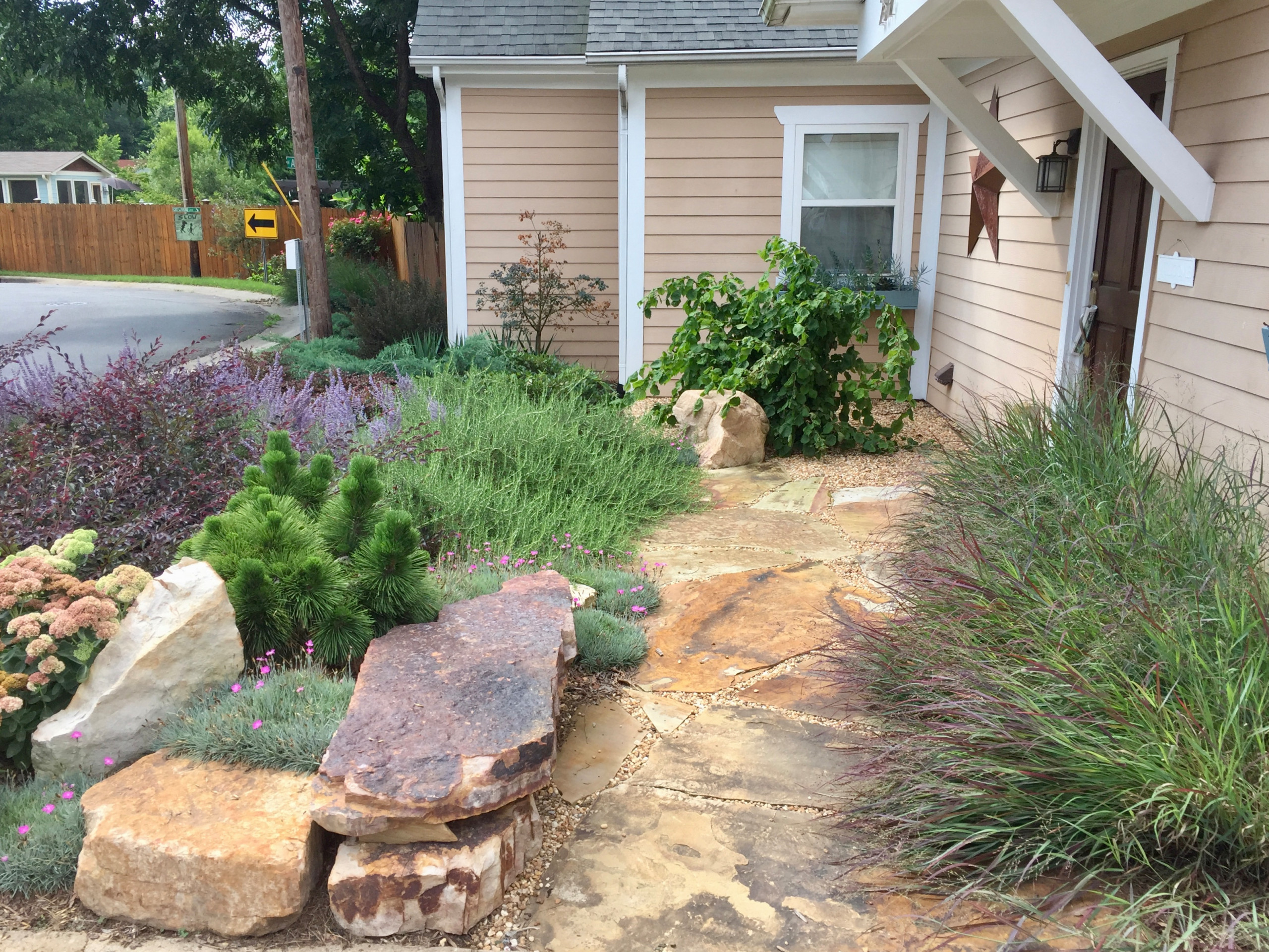New front sidewalk, softened by textural plantings.