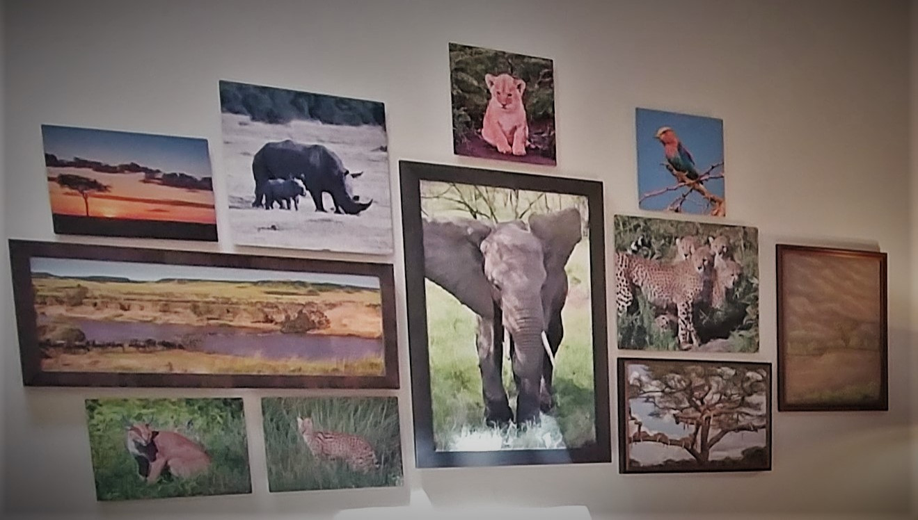 Collage of Photographs by Betsy Wurster