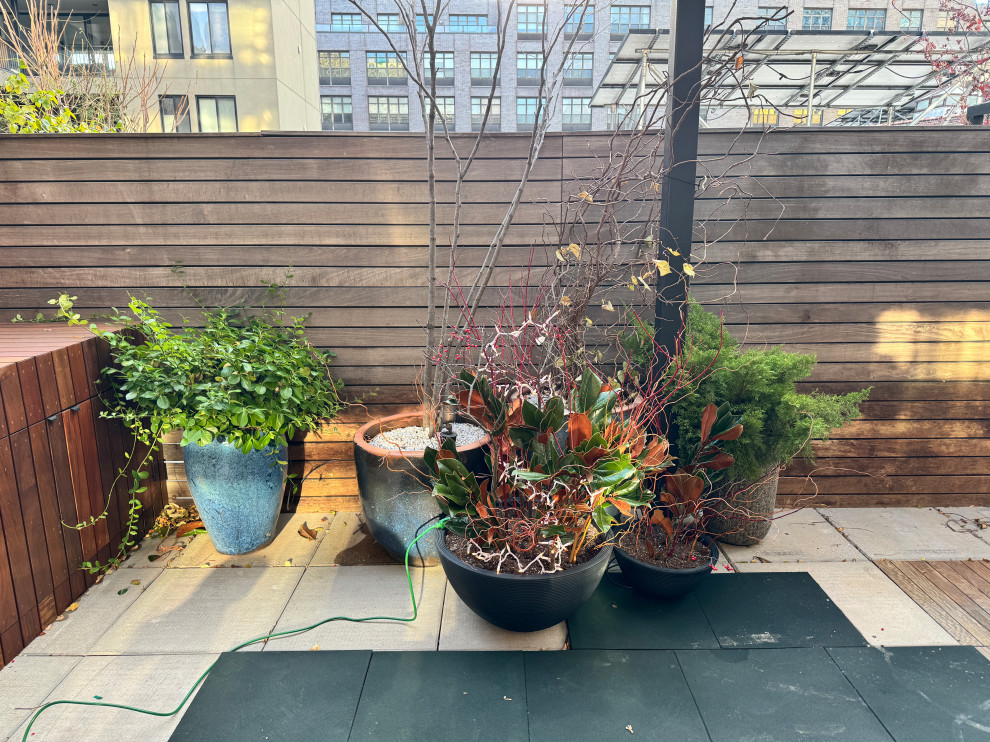 Williamsburg terrace