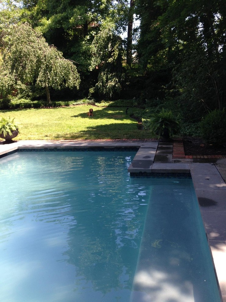 Pool - pool idea in Baltimore