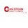 Can Steam Carpet Cleaners