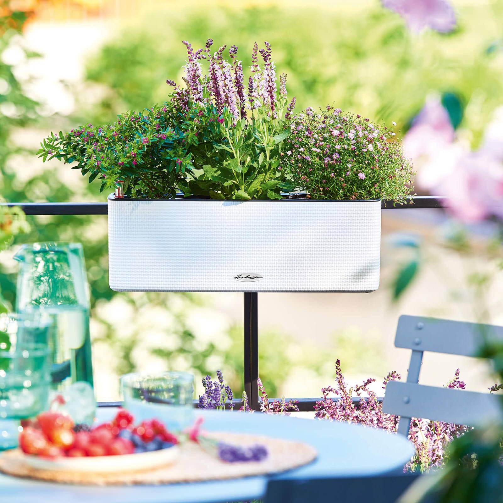 Городское садоводство создать легко!