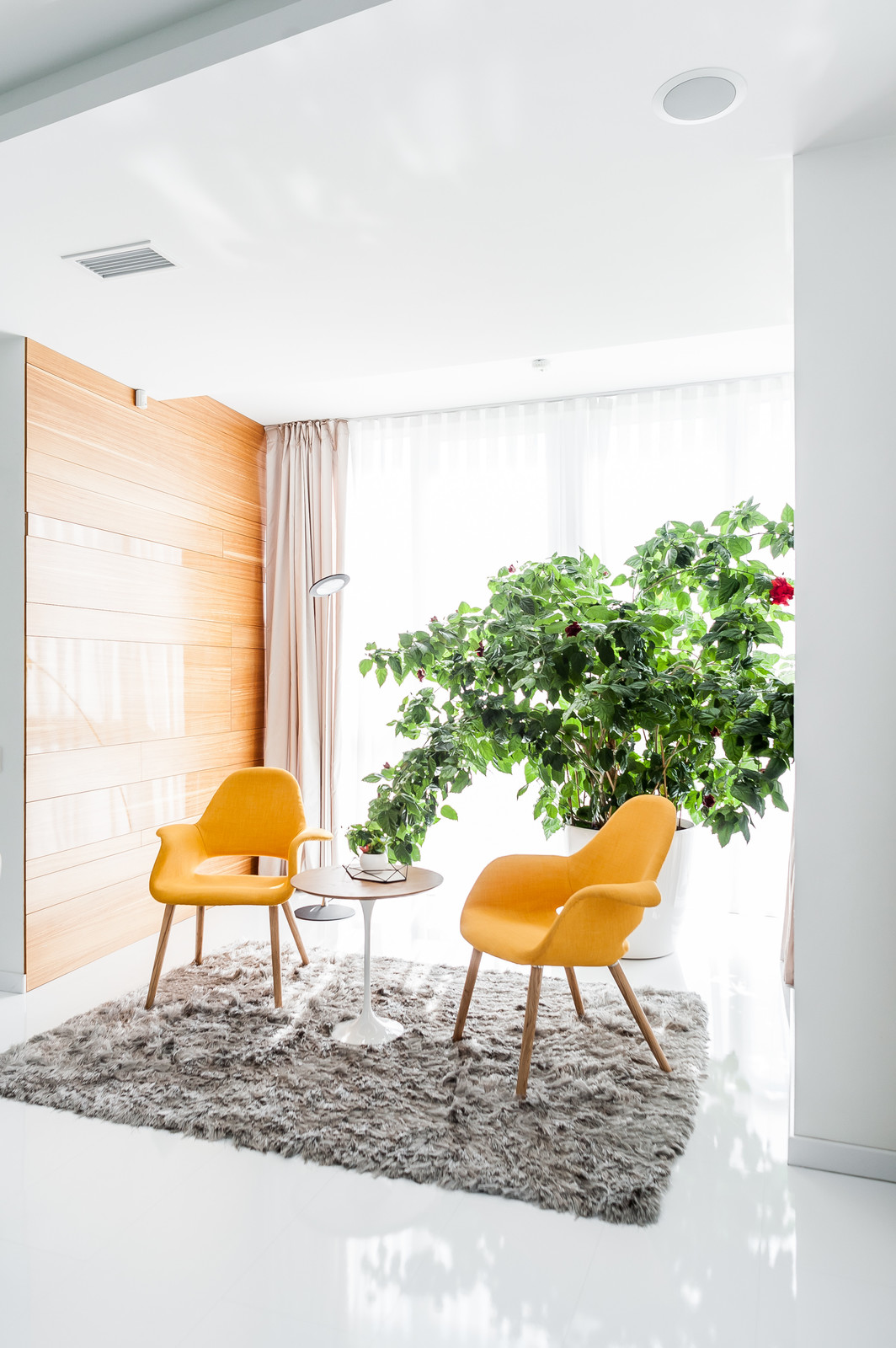 Светлый hi-tech