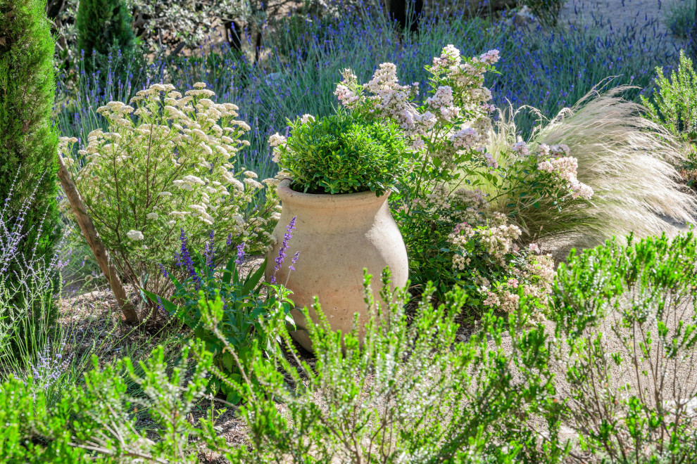 Tourtour - jardin méditerranéen contemporain