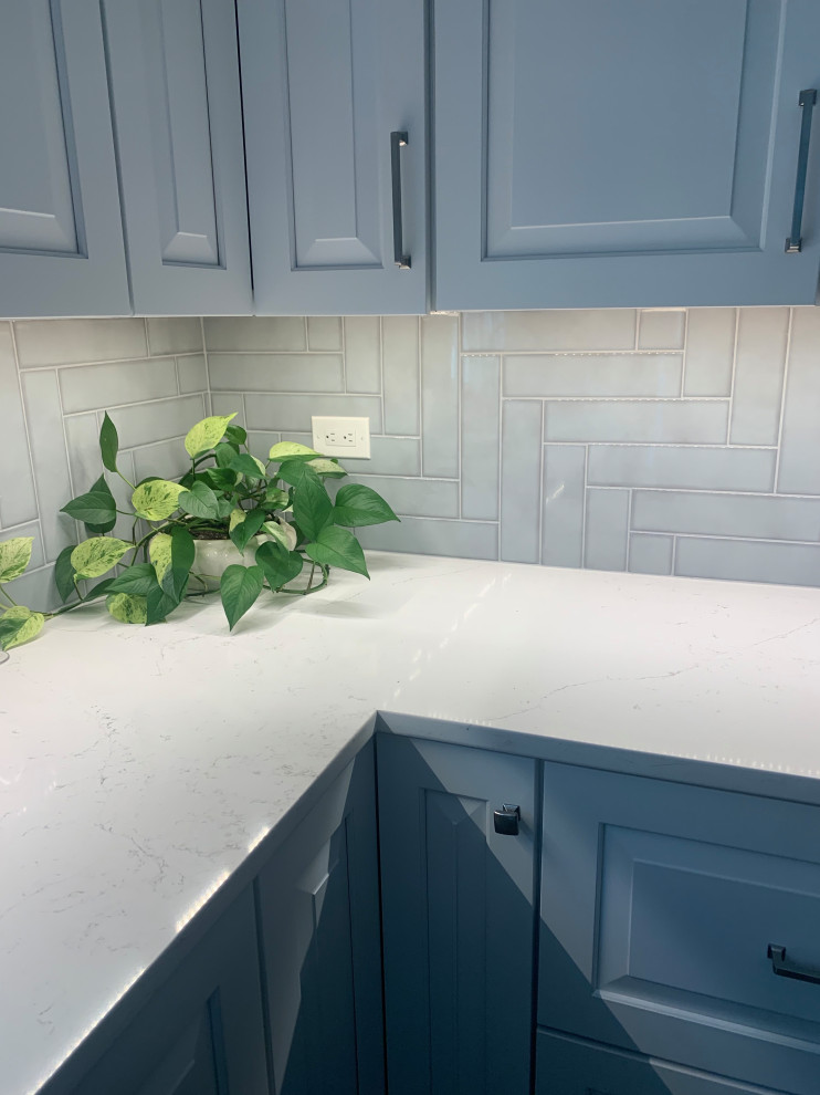Kitchen - transitional kitchen idea in Chicago