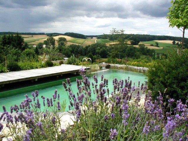Schwimmteich contemporary-pool