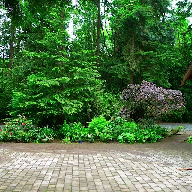 Inspiration for an arts and crafts garden in Seattle.