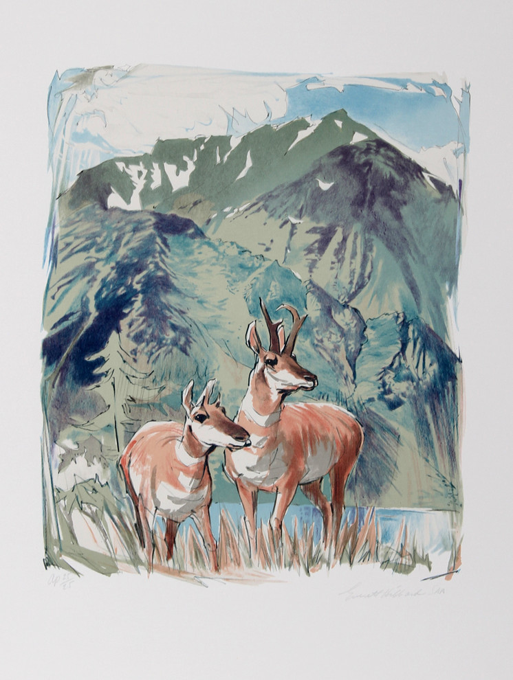 "Prong Horn Antelope" Artwork