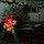 corinne_davis78