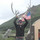 andrew_charles61