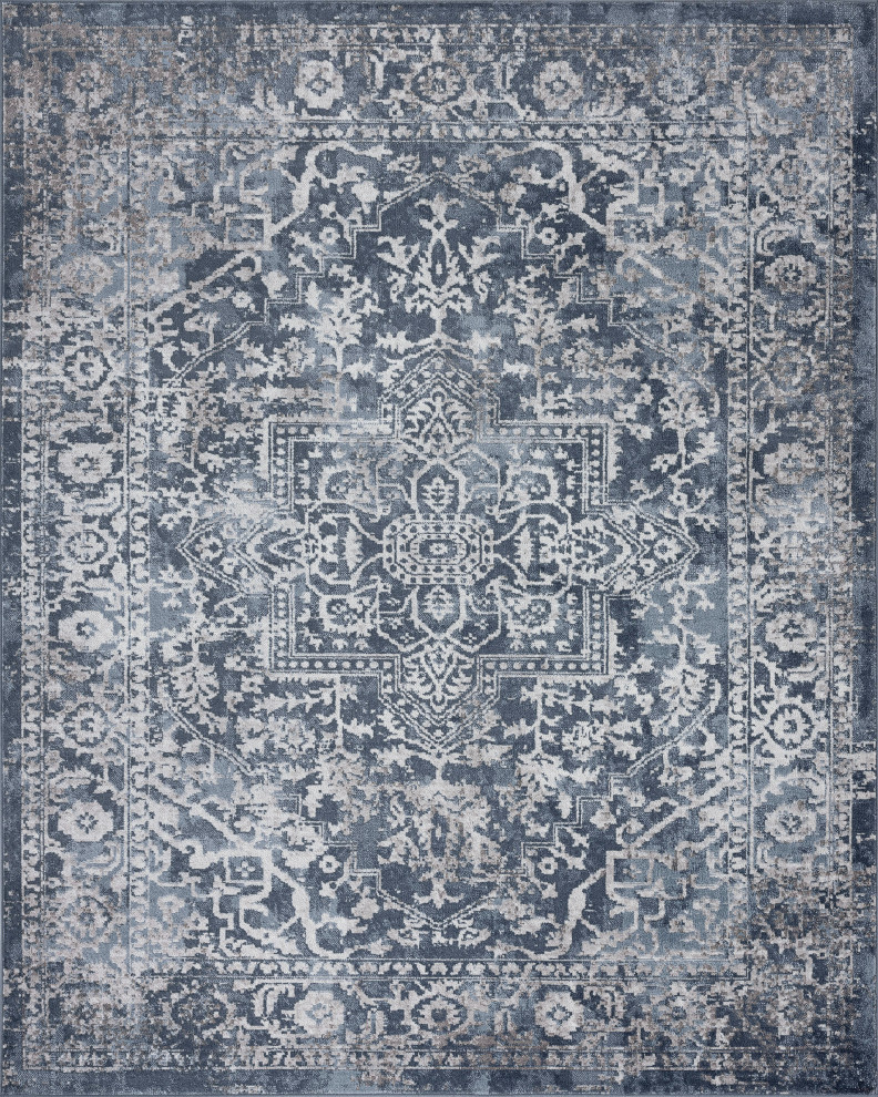 Cinda Traditional Oriental Blue Rectangle Area Rug, 9' x 12'