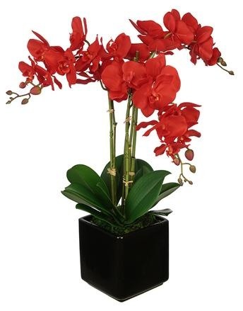 Artificial Red Triple Stem Orchid in Black Cube Vase